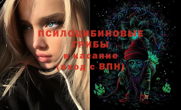 дмт Аркадак
