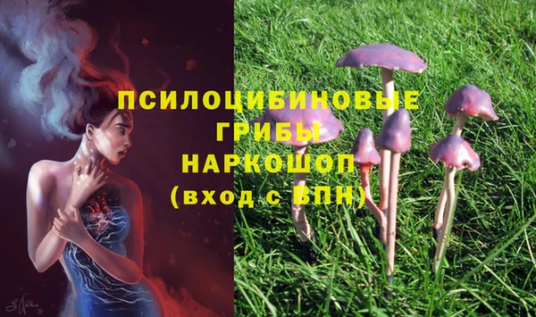 дмт Аркадак