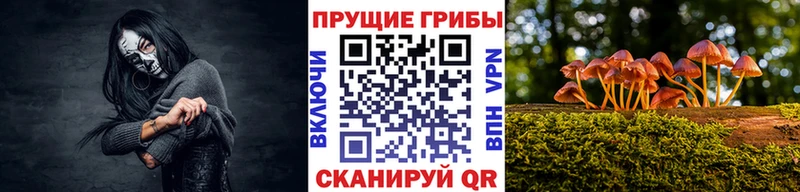 Псилоцибиновые грибы прущие грибы  Волгоград 